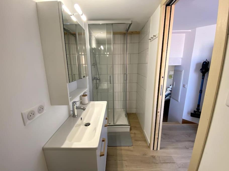 Apartmán Chaleureux T3 Avec Terrasse/ Proche Valence Saint-Péray Exteriér fotografie